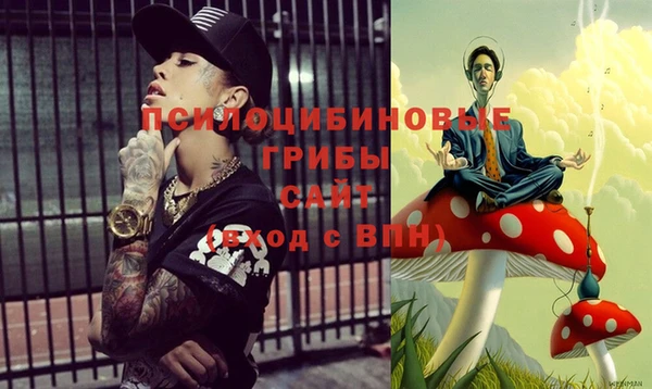прущий лед Касимов