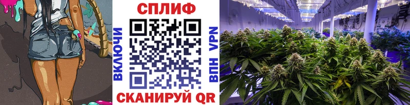 Каннабис марихуана  Купить где  Кисловодск
